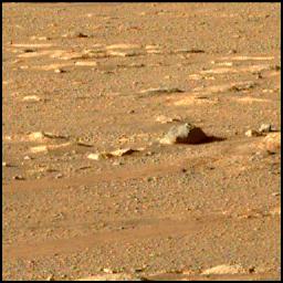 View image taken on Mars, Mars Perseverance Sol 37: Right Mastcam-Z Camera