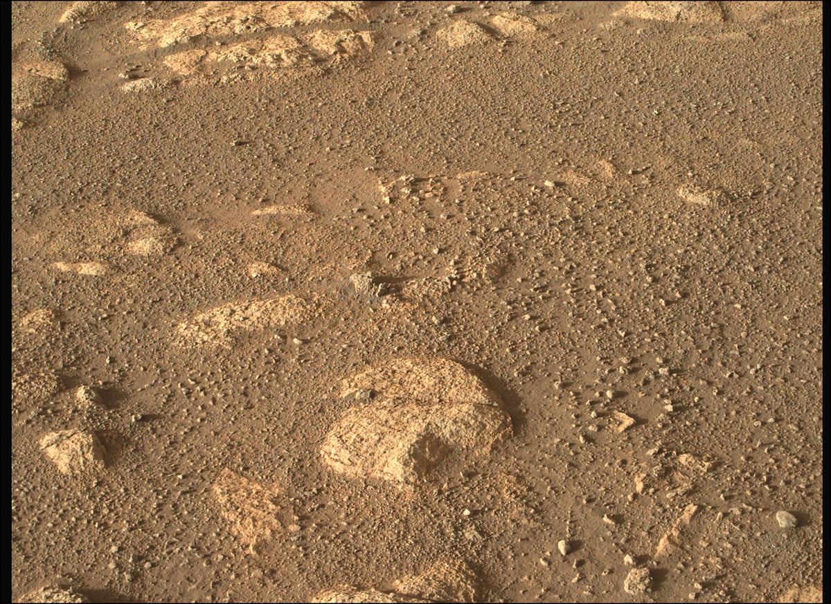 This image was taken by MCZ_RIGHT onboard NASA's Mars rover Perseverance on Sol 37