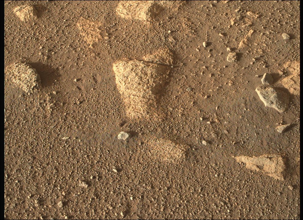 This image was taken by MCZ_RIGHT onboard NASA's Mars rover Perseverance on Sol 37