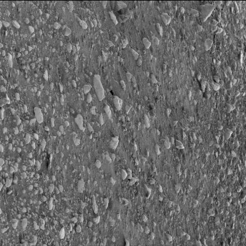 This image was taken by SHERLOC_WATSON onboard NASA's Mars rover Perseverance on Sol 38