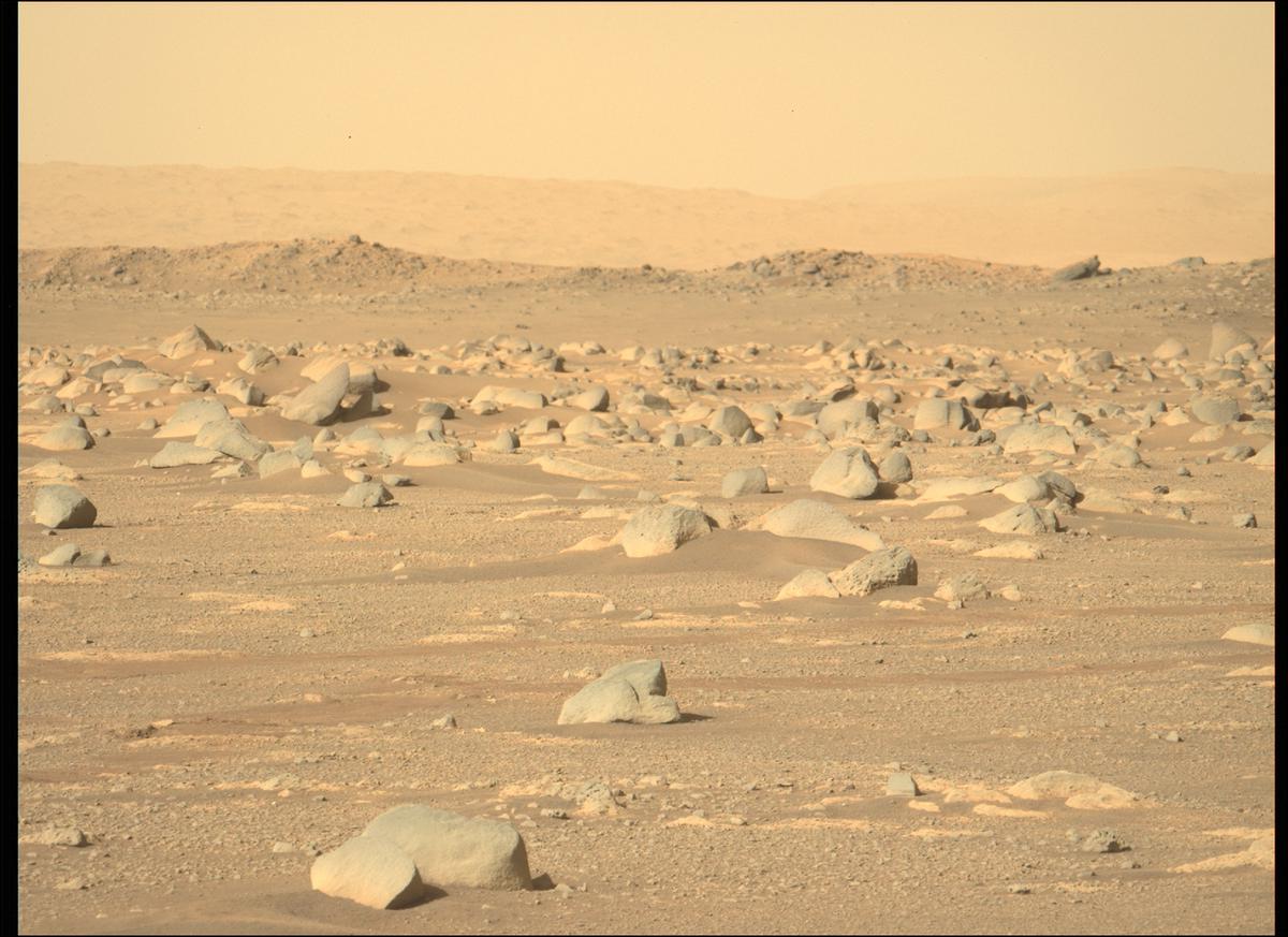 This image was taken by MCZ_LEFT onboard NASA's Mars rover Perseverance on Sol 38