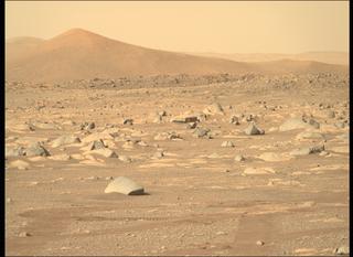 View image taken on Mars, Mars Perseverance Sol 38: Right Mastcam-Z Camera