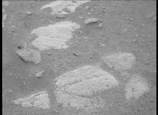 View image taken on Mars, Mars Perseverance Sol 41: Right Mastcam-Z Camera