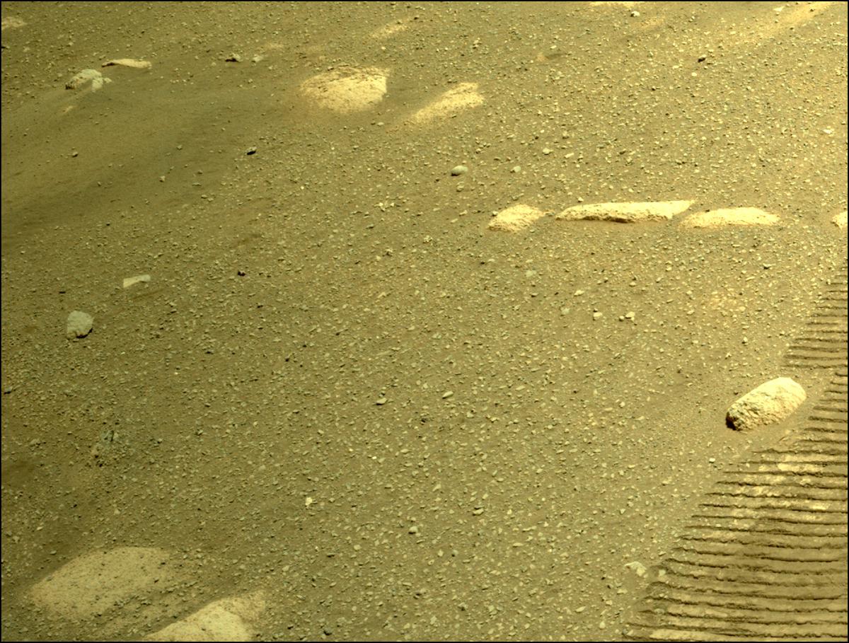 This image was taken by NAVCAM_RIGHT onboard NASA's Mars rover Perseverance on Sol 44