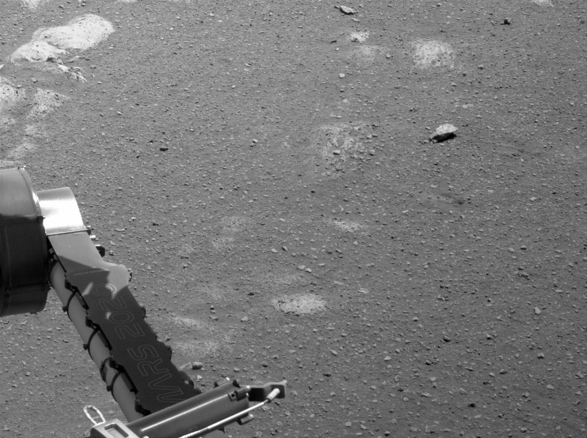 This image was taken by NAVCAM_LEFT onboard NASA's Mars rover Perseverance on Sol 45