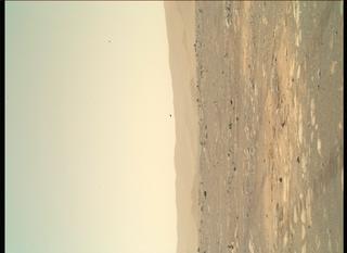 View image taken on Mars, Mars Perseverance Sol 45: WATSON Camera 