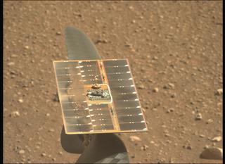 View image taken on Mars, Mars Perseverance Sol 45: Left Mastcam-Z Camera