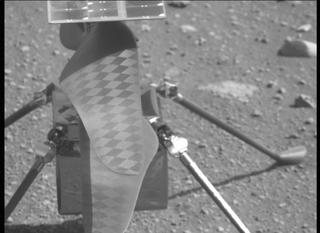 View image taken on Mars, Mars Perseverance Sol 45: Right Mastcam-Z Camera