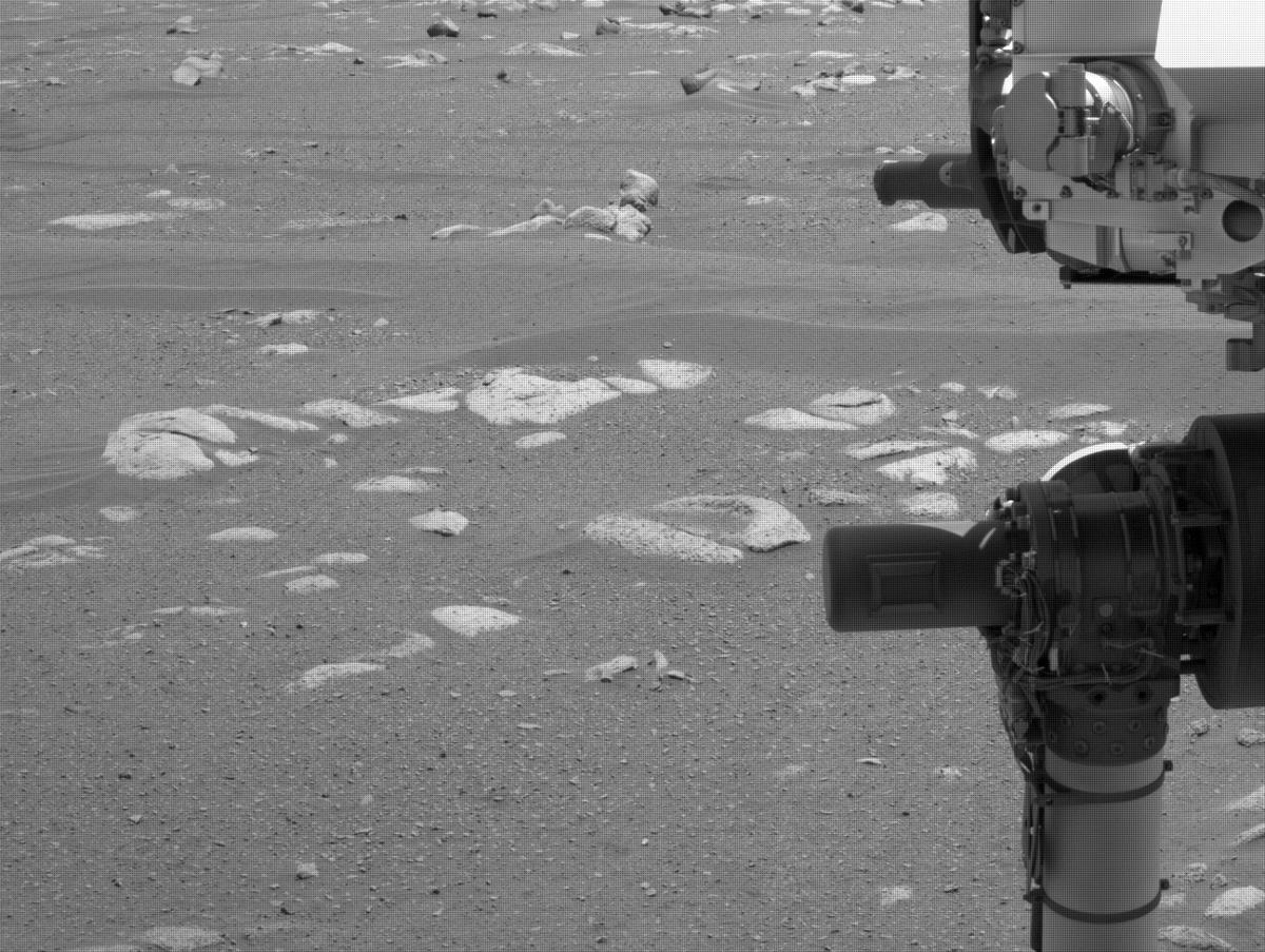 This image was taken by NAVCAM_LEFT onboard NASA's Mars rover Perseverance on Sol 46