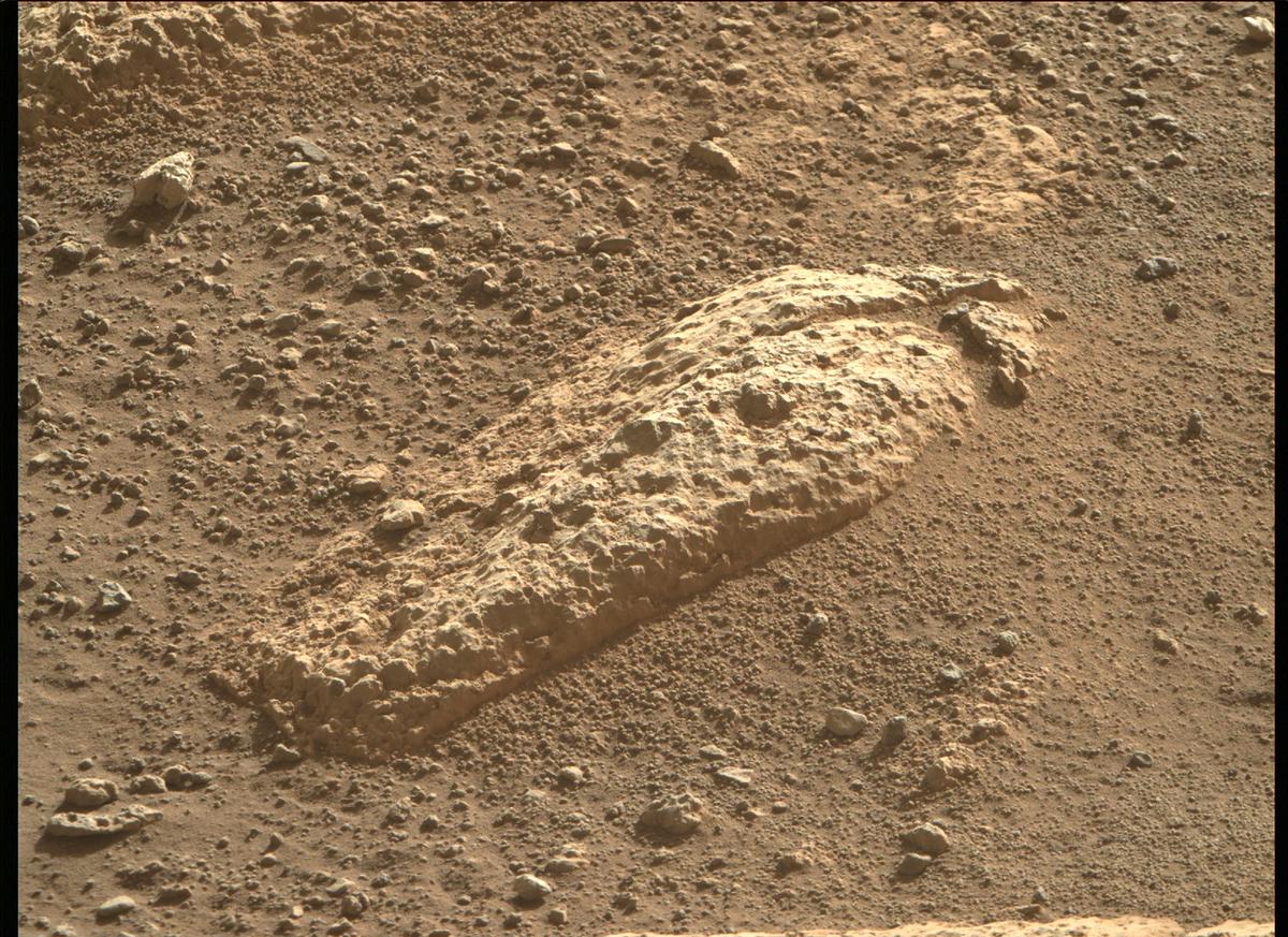 This image was taken by MCZ_RIGHT onboard NASA's Mars rover Perseverance on Sol 46