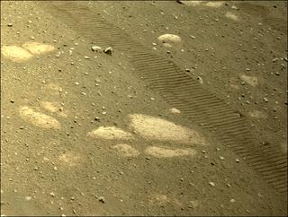 View image taken on Mars, Mars Perseverance Sol 47: Right Navigation Camera (Navcam)