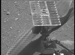 View image taken on Mars, Mars Perseverance Sol 47: Left Mastcam-Z Camera