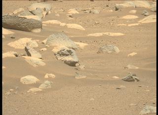 View image taken on Mars, Mars Perseverance Sol 48: Left Mastcam-Z Camera