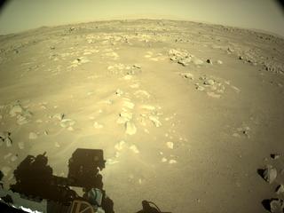 View image taken on Mars, Mars Perseverance Sol 49: Right Navigation Camera (Navcam)