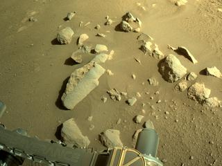 View image taken on Mars, Mars Perseverance Sol 49: Right Navigation Camera (Navcam)