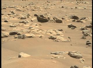 View image taken on Mars, Mars Perseverance Sol 50: Left Mastcam-Z Camera