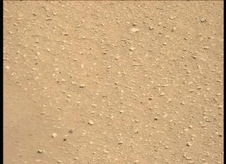 View image taken on Mars, Mars Perseverance Sol 53: Left Mastcam-Z Camera