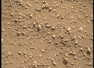 View image taken on Mars, Mars Perseverance Sol 54: Right Mastcam-Z Camera