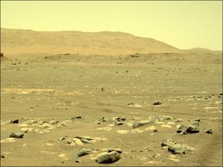 View image taken on Mars, Mars Perseverance Sol 56: Right Navigation Camera (Navcam)