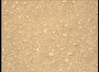 View image taken on Mars, Mars Perseverance Sol 56: Left Mastcam-Z Camera