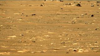 View image taken on Mars, Mars Perseverance Sol 58: Left Mastcam-Z Camera