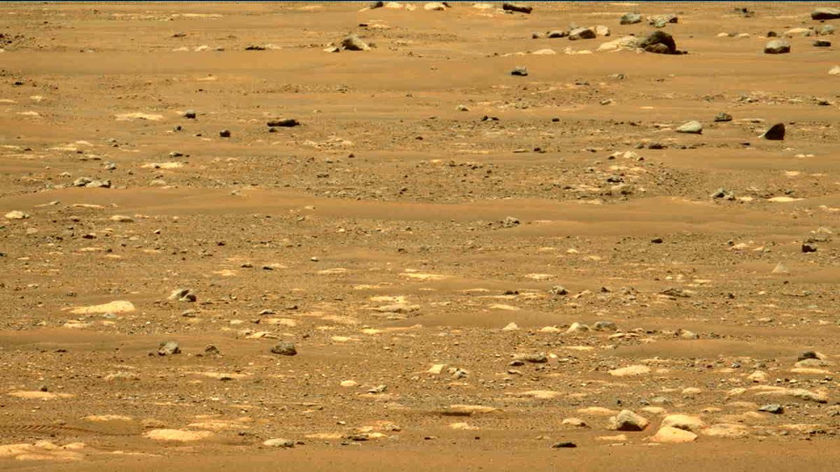 This image was taken by MCZ_LEFT onboard NASA's Mars rover Perseverance on Sol 58