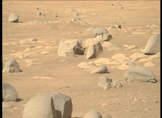 View image taken on Mars, Mars Perseverance Sol 59: Right Mastcam-Z Camera