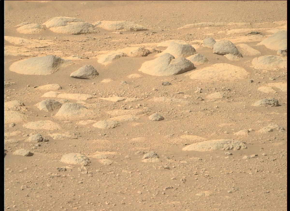 This image was taken by MCZ_RIGHT onboard NASA's Mars rover Perseverance on Sol 59