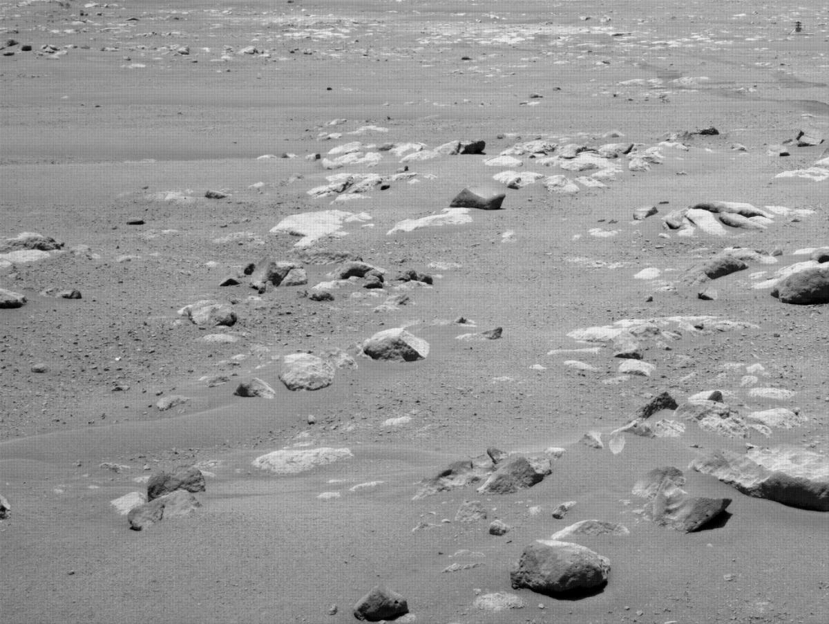 This image was taken by NAVCAM_RIGHT onboard NASA's Mars rover Perseverance on Sol 61