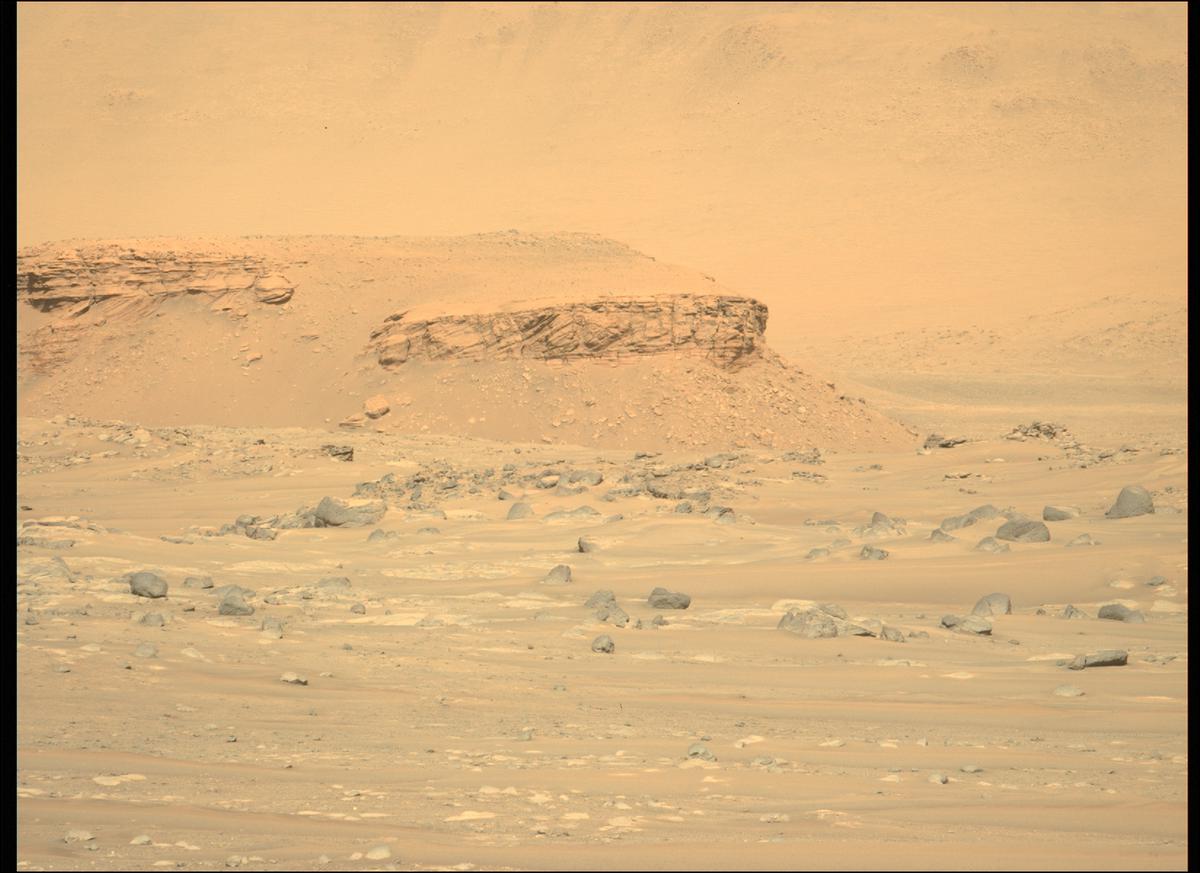This image was taken by MCZ_LEFT onboard NASA's Mars rover Perseverance on Sol 63