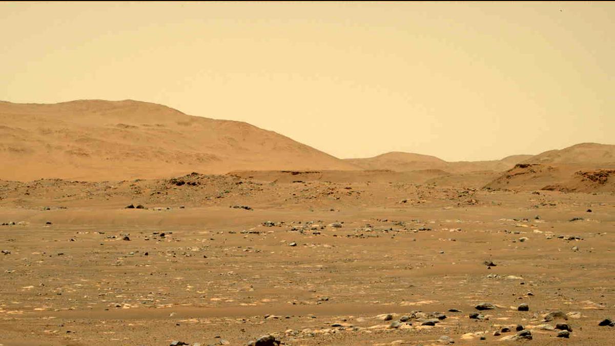 This image was taken by MCZ_RIGHT onboard NASA's Mars rover Perseverance on Sol 64