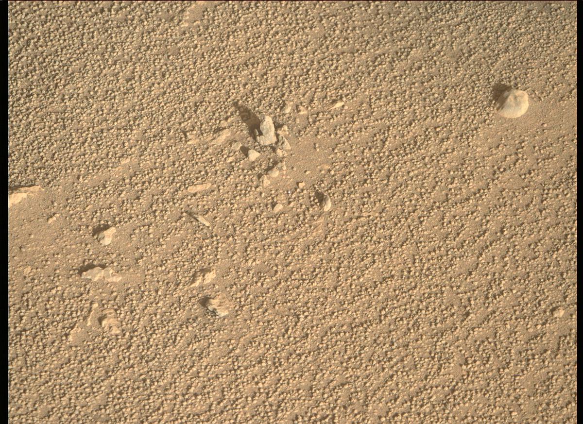 This image was taken by MCZ_RIGHT onboard NASA's Mars rover Perseverance on Sol 64