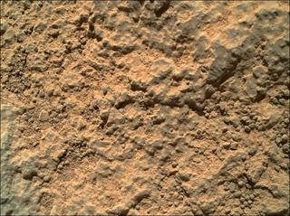 View image taken on Mars, Mars Perseverance Sol 71: WATSON Camera 