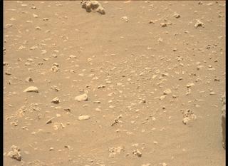 View image taken on Mars, Mars Perseverance Sol 74: Left Mastcam-Z Camera