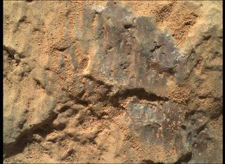 View image taken on Mars, Mars Perseverance Sol 78: WATSON Camera 