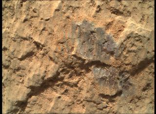 View image taken on Mars, Mars Perseverance Sol 78: WATSON Camera 