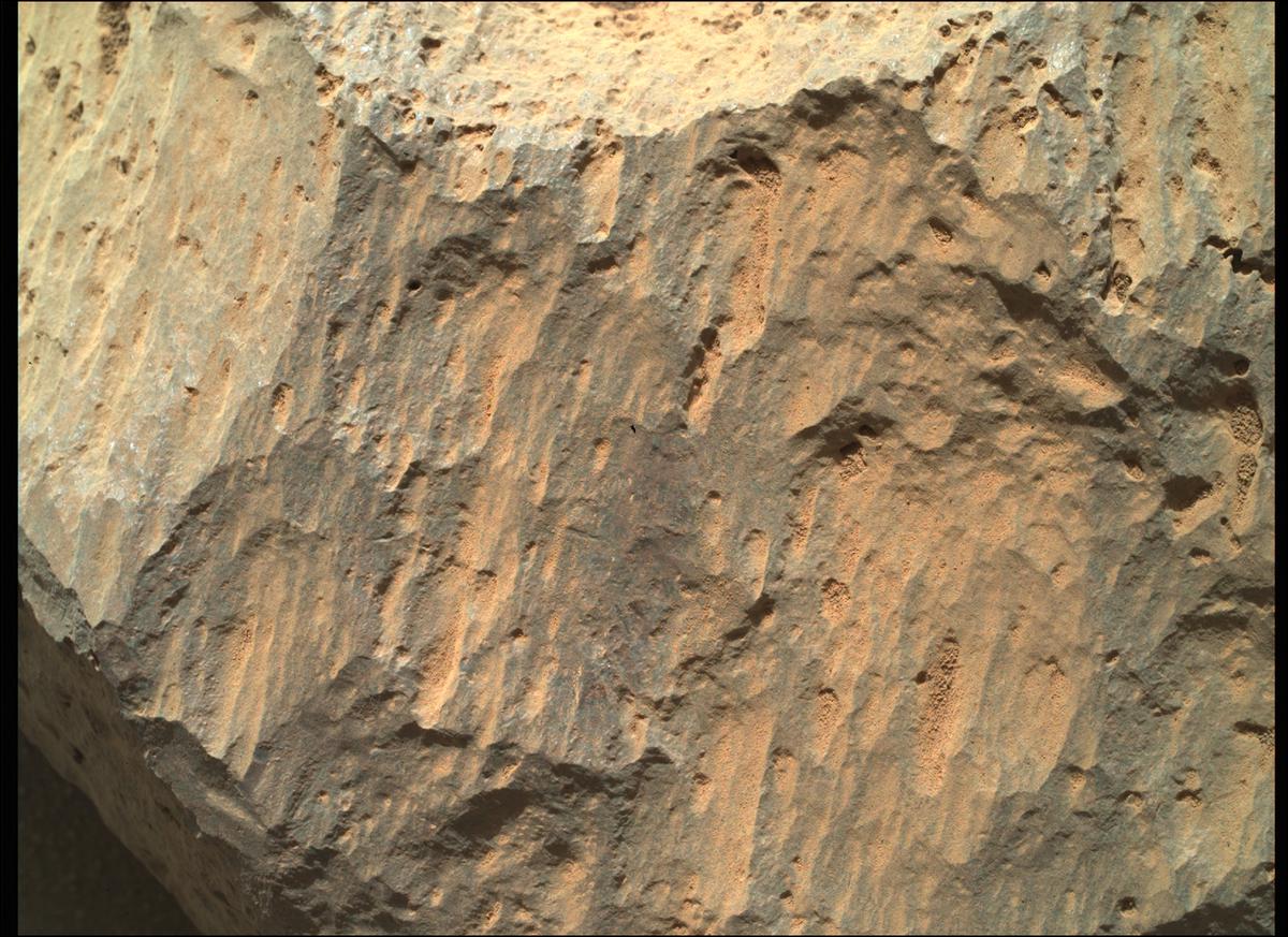 This image was taken by SHERLOC_WATSON onboard NASA's Mars rover Perseverance on Sol 79
