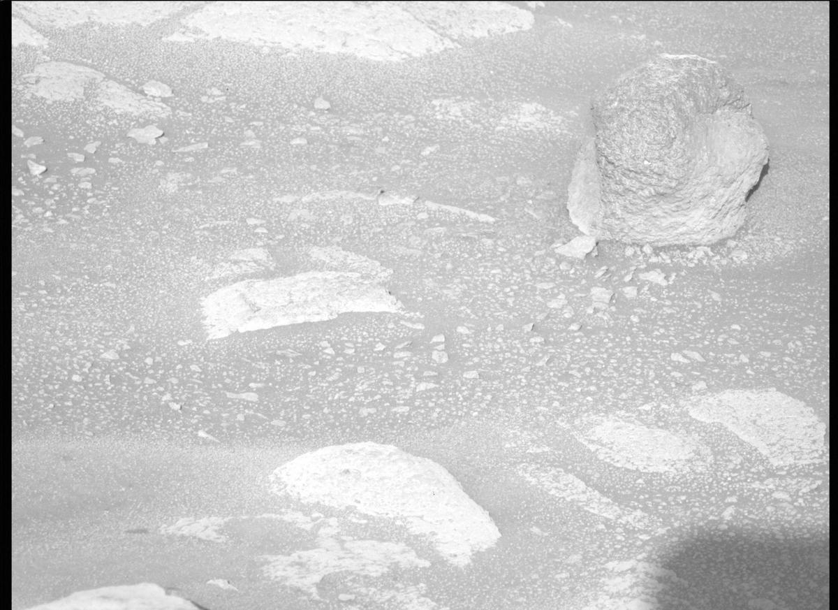 This image was taken by MCZ_LEFT onboard NASA's Mars rover Perseverance on Sol 82
