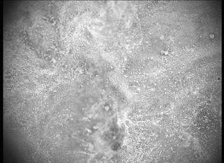 View image taken on Mars, Mars Perseverance Sol 83: SHERLOC ACI Camera 