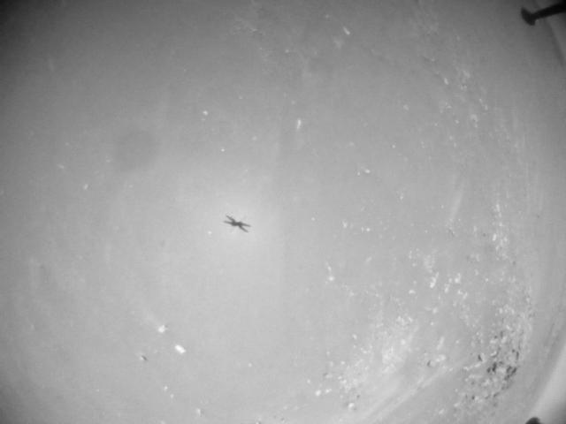 This image was taken by HELI_NAV onboard NASA's Mars rover Perseverance on Sol 91