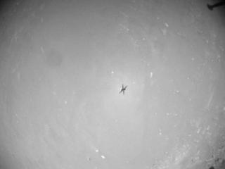View image taken on Mars, Mars Helicopter Sol 91: Navigation Camera