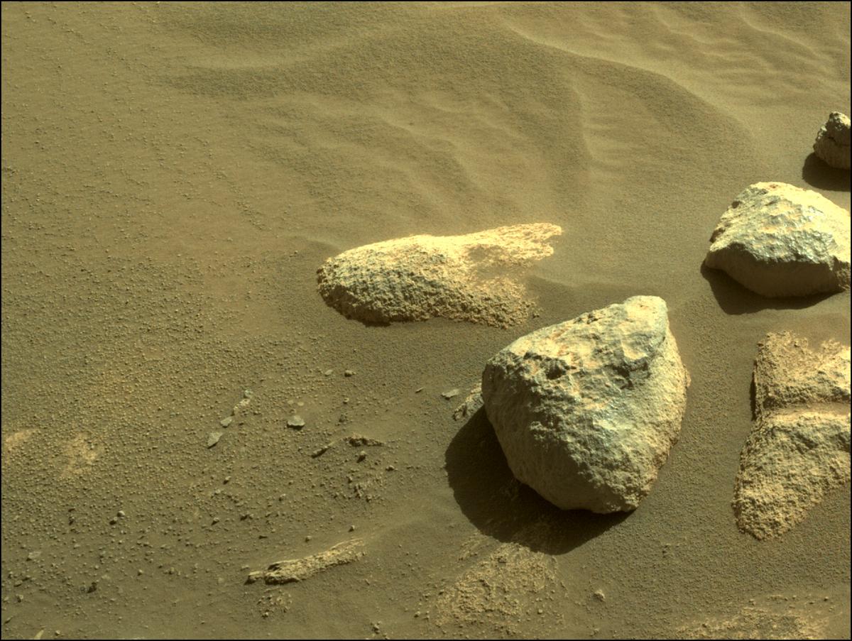 This image was taken by NAVCAM_LEFT onboard NASA's Mars rover Perseverance on Sol 92