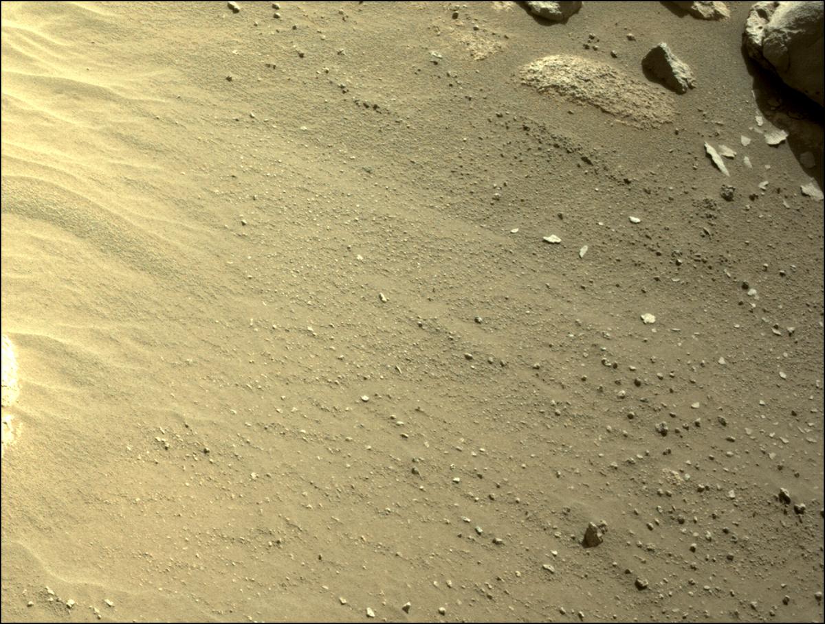This image was taken by NAVCAM_LEFT onboard NASA's Mars rover Perseverance on Sol 92