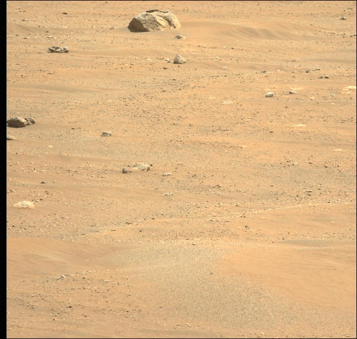 This image was taken by MCZ_LEFT onboard NASA's Mars rover Perseverance on Sol 92