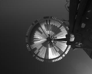 View image taken on Mars, Mars Perseverance Sol 95: Parachute Up-Look Camera A