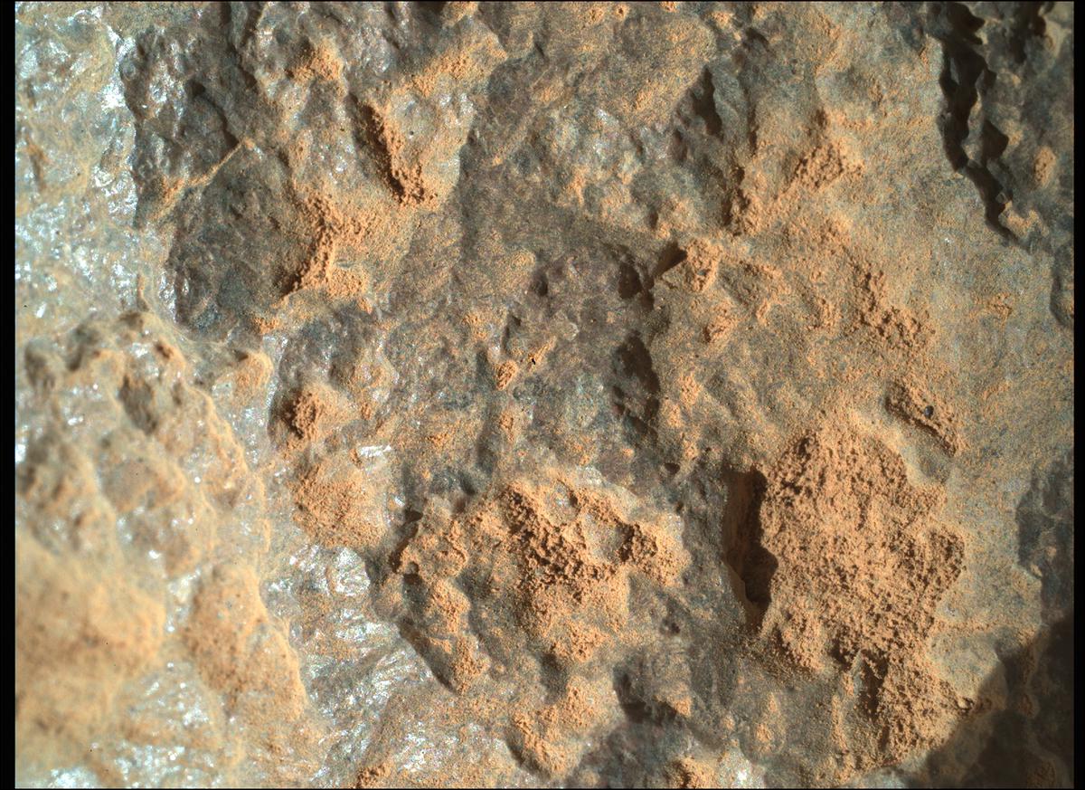 This image was taken by SHERLOC_WATSON onboard NASA's Mars rover Perseverance on Sol 96