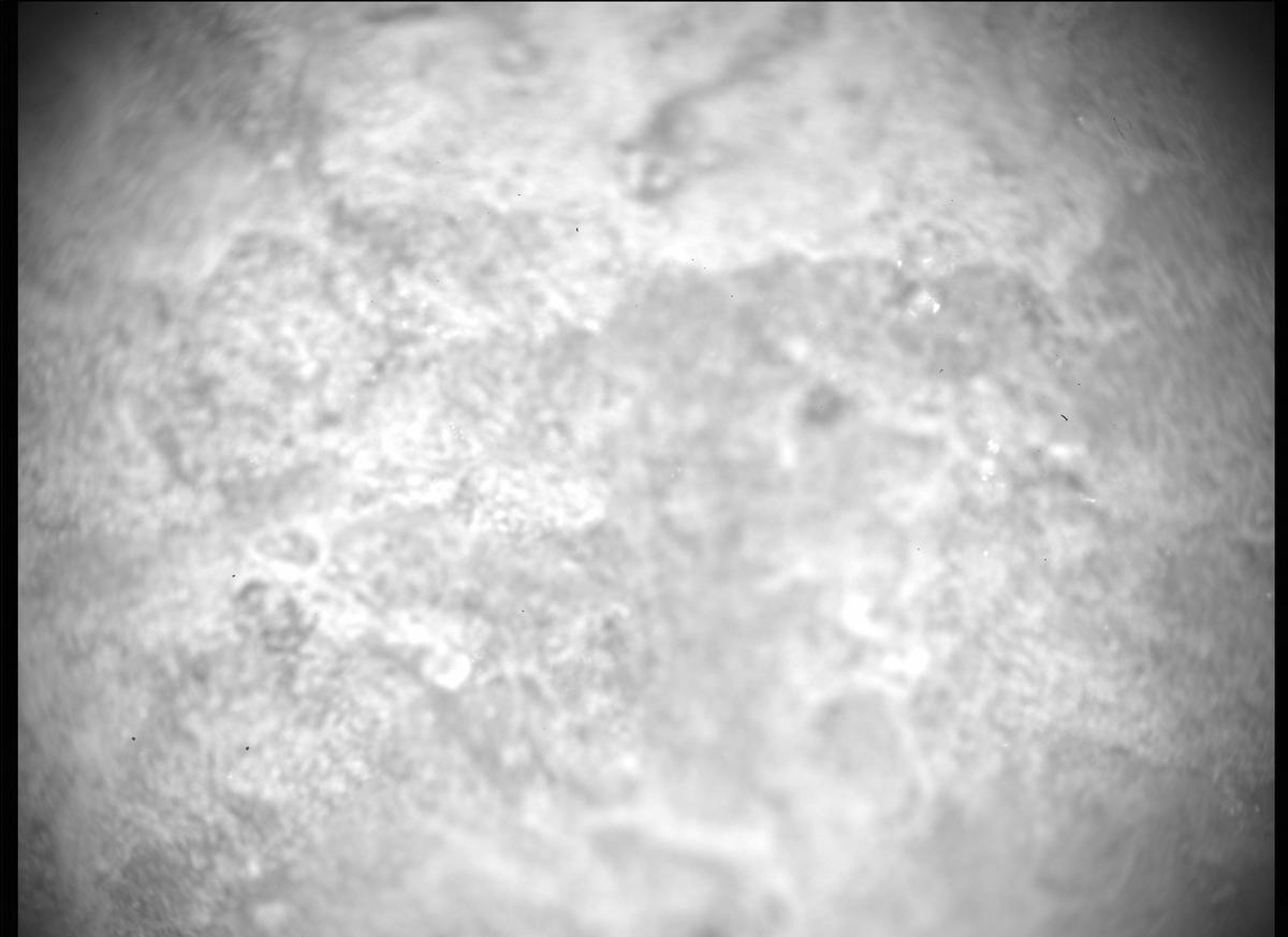 This image was taken by SHERLOC_ACI onboard NASA's Mars rover Perseverance on Sol 98