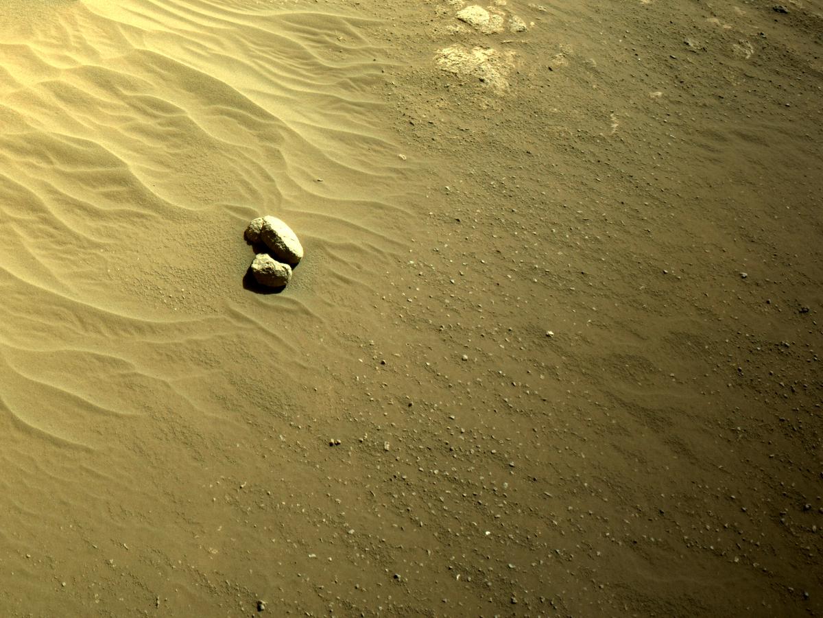 This image was taken by NAVCAM_RIGHT onboard NASA's Mars rover Perseverance on Sol 99