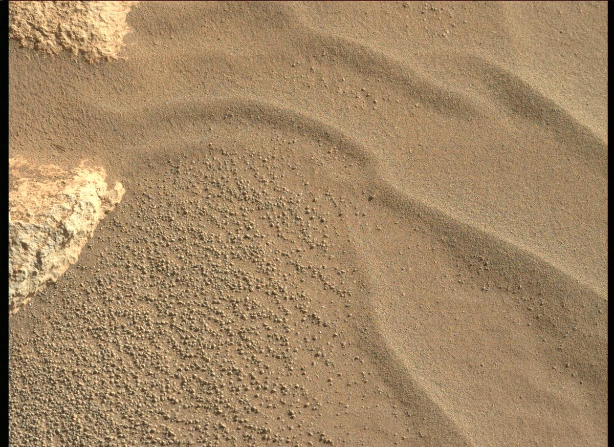 This image was taken by MCZ_LEFT onboard NASA's Mars rover Perseverance on Sol 99