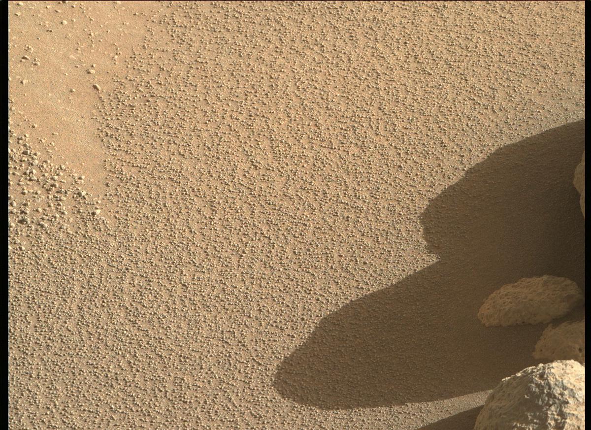 This image was taken by MCZ_RIGHT onboard NASA's Mars rover Perseverance on Sol 99